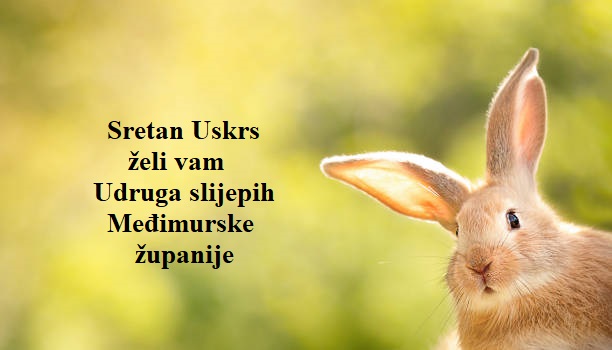 istockphoto 1370481100 612x612
